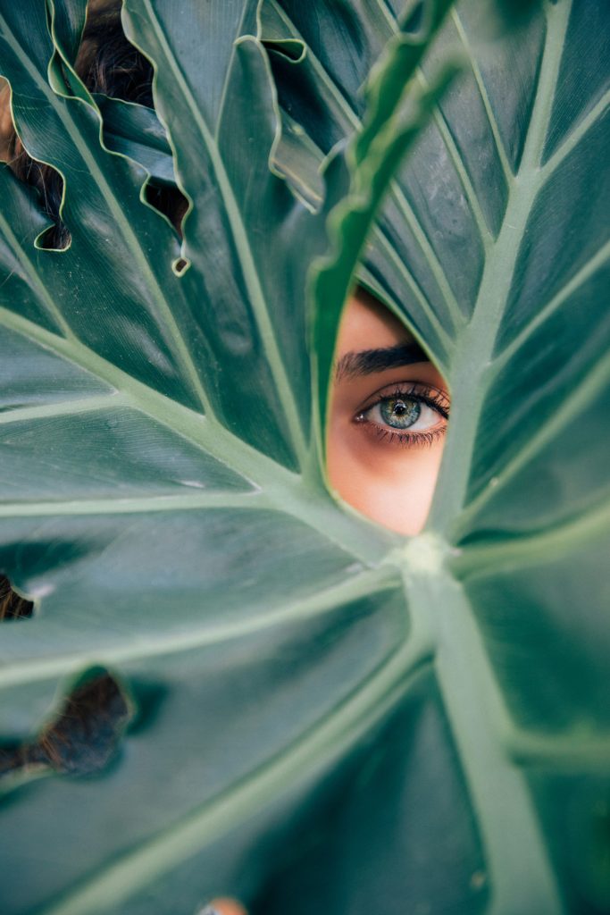femme regardant par-dessus une plante à feuilles vertes, photo prise en plein jour